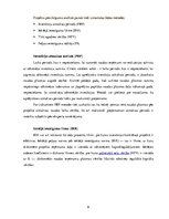 Referāts 'SIA "Velve-AE" investīciju projekts', 6.