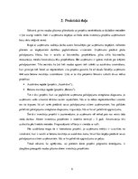 Referāts 'SIA "Velve-AE" investīciju projekts', 9.