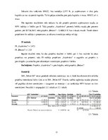 Referāts 'SIA "Velve-AE" investīciju projekts', 13.