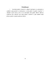 Referāts 'SIA "Velve-AE" investīciju projekts', 16.