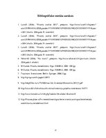 Referāts 'SIA "Velve-AE" investīciju projekts', 17.