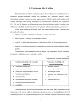 Diplomdarbs 'SIA "Latvian Snacks" izmantotie komunikācijas instrumenti tēla veidošanā', 4.