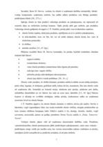 Diplomdarbs 'SIA "Latvian Snacks" izmantotie komunikācijas instrumenti tēla veidošanā', 7.