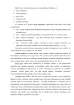 Diplomdarbs 'SIA "Latvian Snacks" izmantotie komunikācijas instrumenti tēla veidošanā', 14.