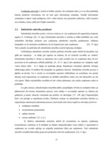 Diplomdarbs 'SIA "Latvian Snacks" izmantotie komunikācijas instrumenti tēla veidošanā', 15.