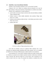 Diplomdarbs 'SIA "Latvian Snacks" izmantotie komunikācijas instrumenti tēla veidošanā', 36.