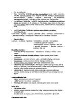 Konspekts 'Lekciju konspekts materiālzinībās', 2.