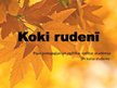 Prezentācija 'Nodarbības konspekts pirmsskolai - koki rudenī', 1.