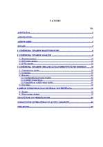 Diplomdarbs 'Uzņēmums "Cipariņs"', 1.