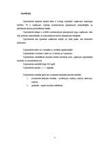 Diplomdarbs 'Uzņēmums "Cipariņs"', 2.
