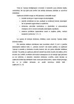 Diplomdarbs 'Uzņēmums "Cipariņs"', 12.