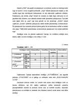 Diplomdarbs 'Uzņēmums "Cipariņs"', 17.