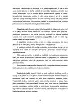 Diplomdarbs 'Uzņēmums "Cipariņs"', 20.