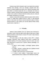 Diplomdarbs 'Uzņēmums "Cipariņs"', 22.