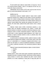 Diplomdarbs 'Uzņēmums "Cipariņs"', 23.