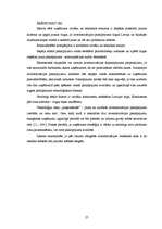 Diplomdarbs 'Uzņēmums "Cipariņs"', 25.