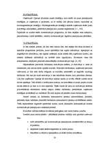 Diplomdarbs 'Uzņēmums "Cipariņs"', 26.