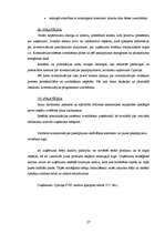 Diplomdarbs 'Uzņēmums "Cipariņs"', 27.