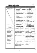 Diplomdarbs 'Uzņēmums "Cipariņs"', 28.