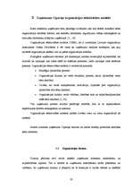 Diplomdarbs 'Uzņēmums "Cipariņs"', 30.