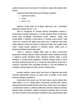 Diplomdarbs 'Uzņēmums "Cipariņs"', 31.