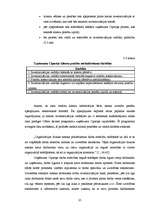 Diplomdarbs 'Uzņēmums "Cipariņs"', 35.