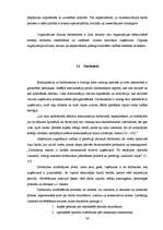 Diplomdarbs 'Uzņēmums "Cipariņs"', 36.