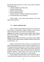 Diplomdarbs 'Uzņēmums "Cipariņs"', 45.