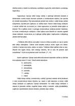 Diplomdarbs 'Uzņēmums "Cipariņs"', 46.