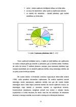 Diplomdarbs 'Uzņēmums "Cipariņs"', 50.