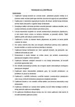 Diplomdarbs 'Uzņēmums "Cipariņs"', 61.