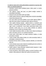 Diplomdarbs 'Uzņēmums "Cipariņs"', 63.