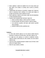 Referāts 'Ārējās tirgvedības divējādā daba', 8.