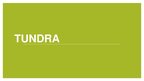 Prezentācija 'Tundra', 1.