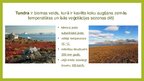 Prezentācija 'Tundra', 2.