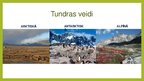 Prezentācija 'Tundra', 3.