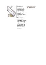 Konspekts 'Latviešu dievības un mitoloģiskās būnes', 9.