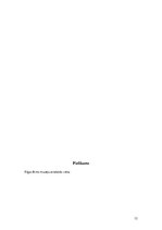 Paraugs 'Kultūras mārketinga mikss instrumentu analīze Rīgas Kino muzejam', 12.