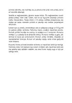 Eseja 'Politiskā struktūra senajā Romā - ķēniņu un republikas periods', 2.