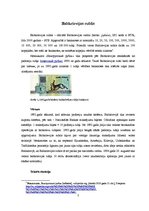 Referāts 'Baltkrievijas rublis', 2.