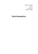 Referāts 'Darba likumdošana', 1.