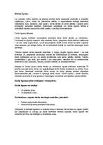 Referāts 'Darba likumdošana', 4.