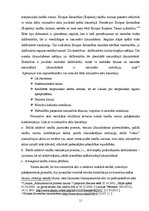 Referāts 'Konstitūcijas un likuma raksturojums normatīvo aktu sistēmā', 11.