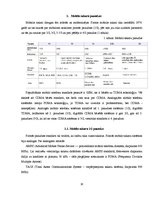 Referāts 'Mobilo sakaru sistēmas un to paaudzes', 10.