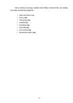 Referāts 'Valsts kontrole', 11.