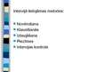 Prezentācija 'Personāla izvēle (atlase) uzņēmumā', 30.