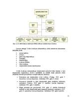 Diplomdarbs 'Ventspils lidostas ģenerālās plānošanas un ekonomiskās attīstības priekšnoteikum', 22.