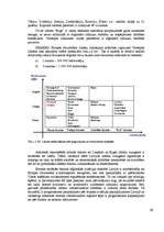 Diplomdarbs 'Ventspils lidostas ģenerālās plānošanas un ekonomiskās attīstības priekšnoteikum', 26.