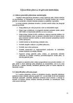 Diplomdarbs 'Ventspils lidostas ģenerālās plānošanas un ekonomiskās attīstības priekšnoteikum', 32.