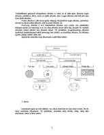 Referāts 'Jēdzienu veidi un attiecības starp jēdzieniem', 7.